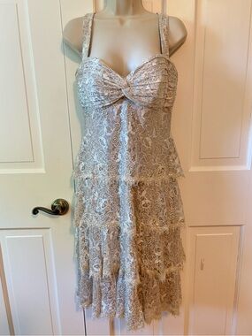 Tadashi Shoji Champagne Dress with Delicate Lace Detail